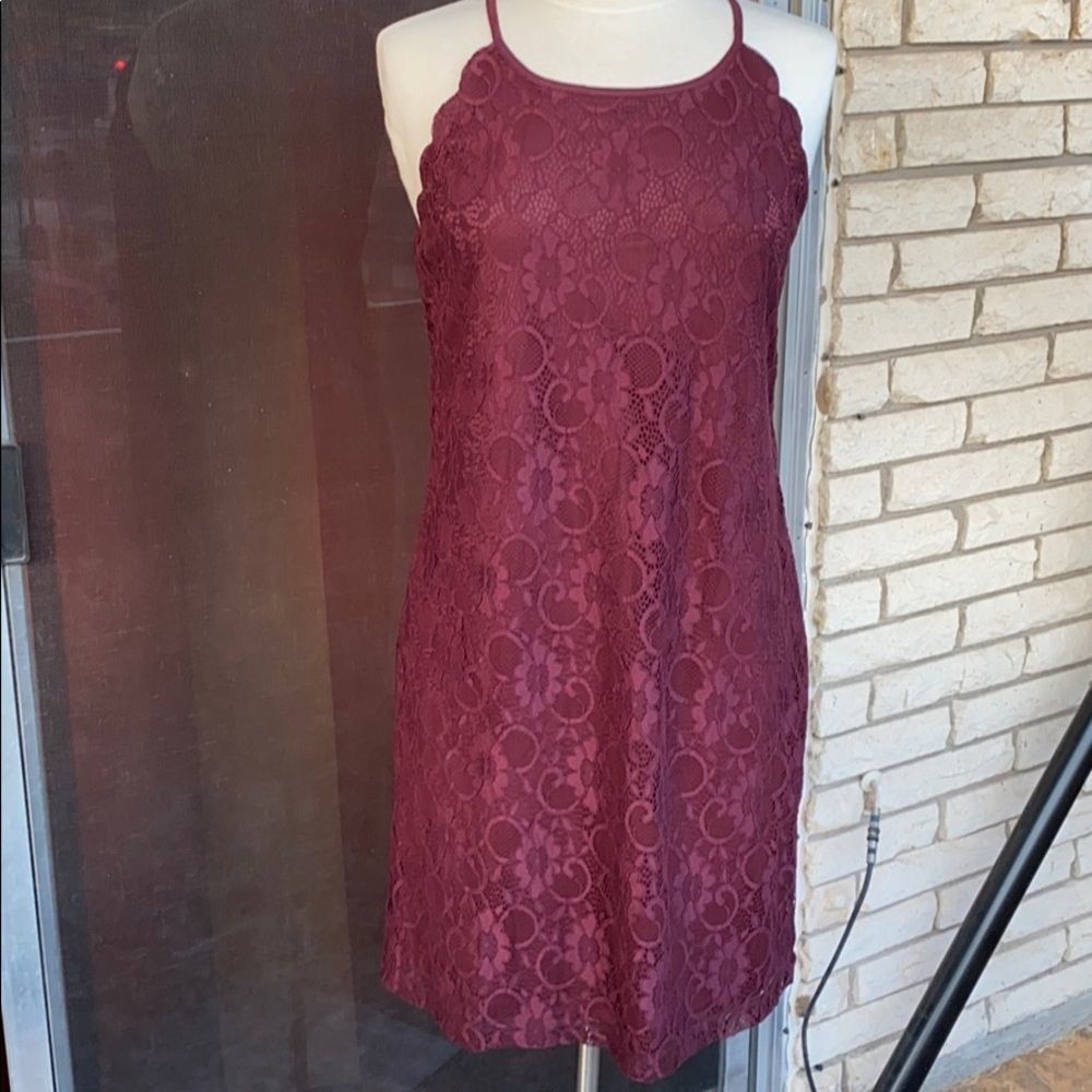 Lace Scallop Dress